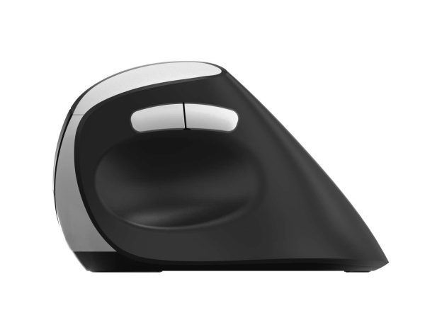 Безжична ергономична мишка RAPOO EV250 3