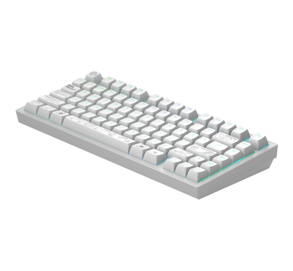 Геймърскa безжична клавиатура Dark Project ALU81A Terra Nova White RGB 3