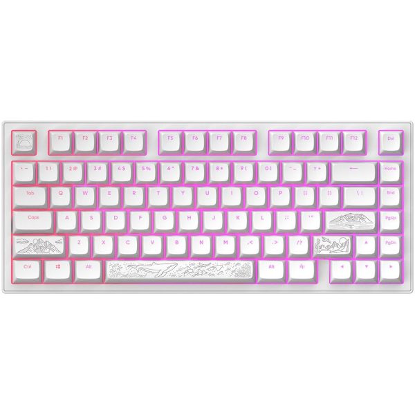 Геймърскa механична клавиатура Dark Project ALU81A Terra Nostra White RGB 1