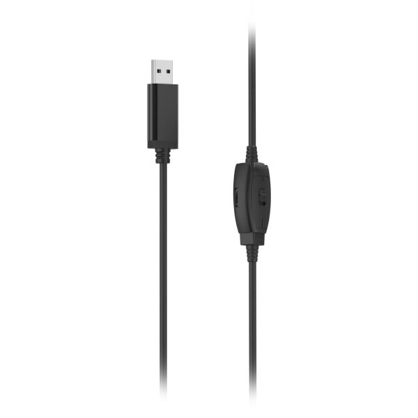 HAMA "HS-USB250 V2" PC Office слушалки, 139934 2