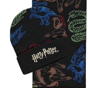 Комплект шал и шапка DIFUZED Harry Potter, Черен 1