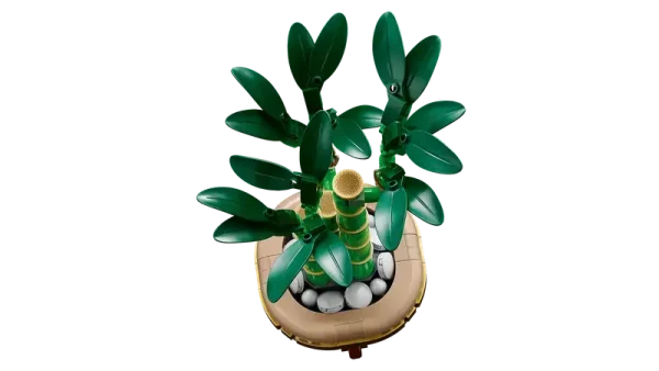 LEGO Botanicals - Lucky Bamboo, 10344 12