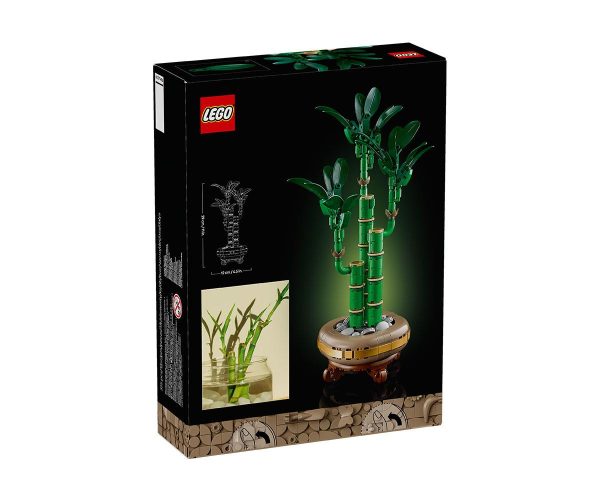 LEGO Botanicals - Lucky Bamboo, 10344 2