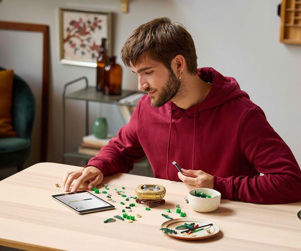 LEGO Botanicals - Lucky Bamboo, 10344 5