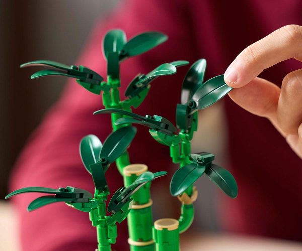 LEGO Botanicals - Lucky Bamboo, 10344 6