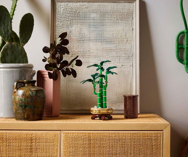 LEGO Botanicals - Lucky Bamboo, 10344 9
