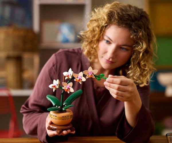 LEGO  Botanicals - Mini-Orchidee, 10343 4