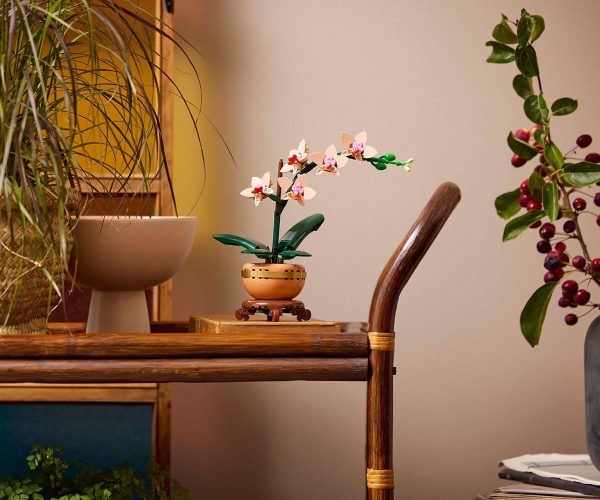 LEGO  Botanicals - Mini-Orchidee, 10343 5