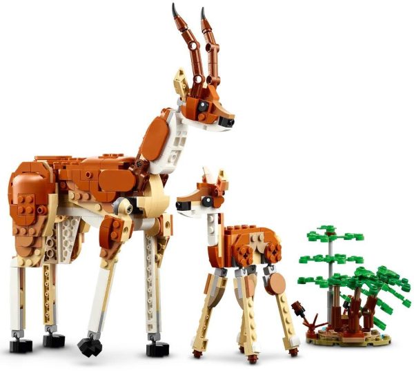 LEGO Creator - Wild Safari Animals - 31150 6