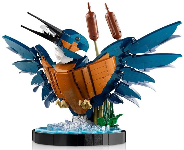 LEGO Icons - Kingfisher Bird - 10331 4
