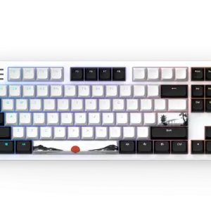 Геймърскa механична клавиатура Dark Project 87 Fuji V2 RGB TKL - G3MS Sapphire Switches, ABS 1